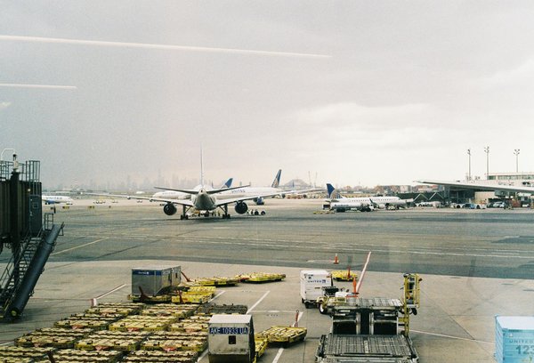 Comment organiser un camping pour observer les oiseaux migrateurs en automne?