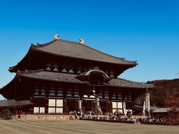 Quelles sont les étapes pour organiser un voyage de découverte des temples bouddhistes à Kyoto, Japon?