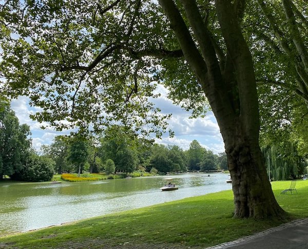 Quels conseils pour une randonnée dans le parc national de Yosemite, USA?